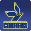 Couries Service289